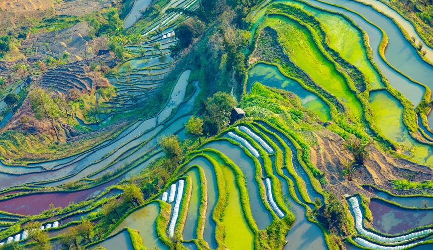 宝妈必备神器：七星关区产品视频拍摄轻松育儿好帮手